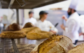 Corso di Panificazione Moderna