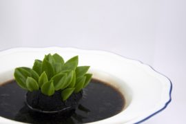 Rodolfo Guzman in ALMA